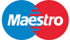 Maestro logo