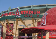 Revealed: MLB Giants Angels and Cleveland Confront at the Little League Classic