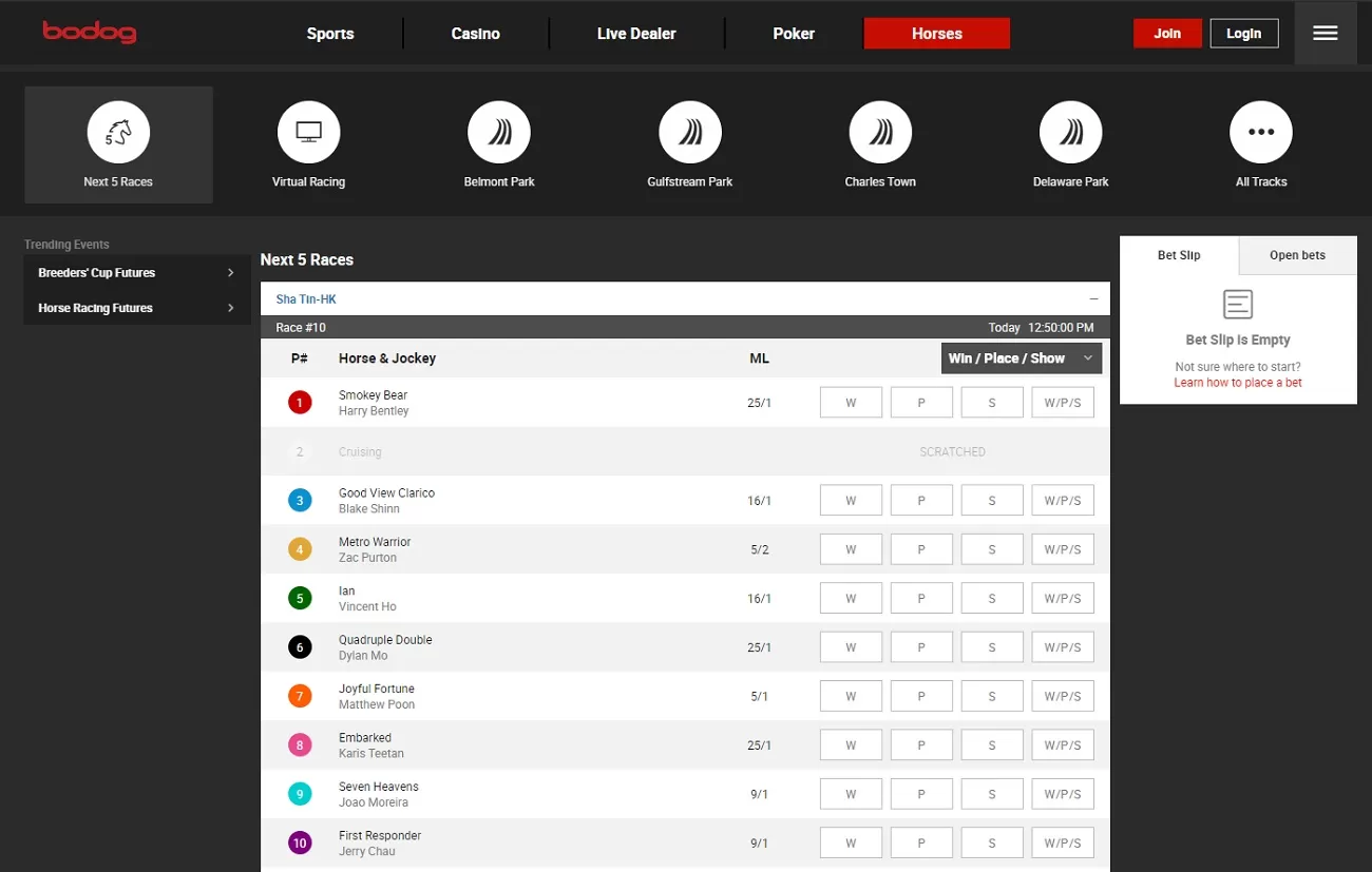 Bodog Horse racing line