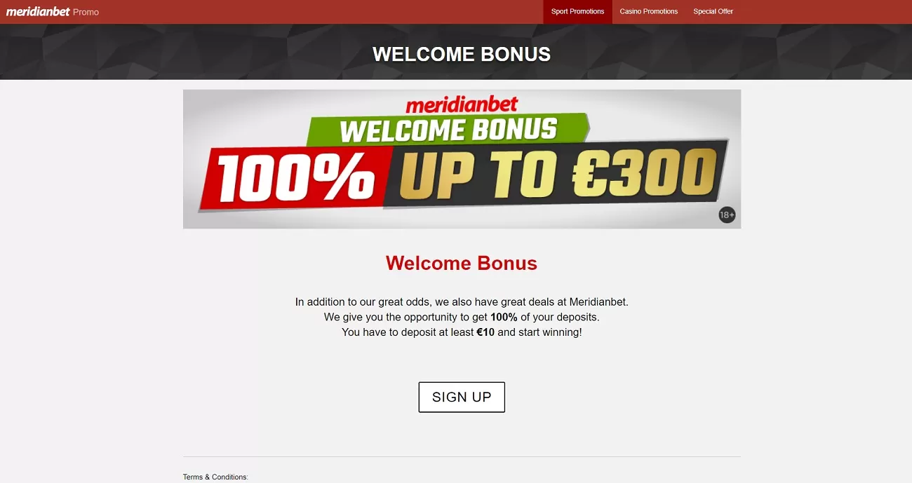 Section of promotions and bonuses