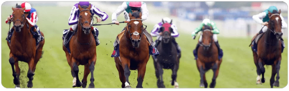 Strategy "Betting against favorites" in Horse betting