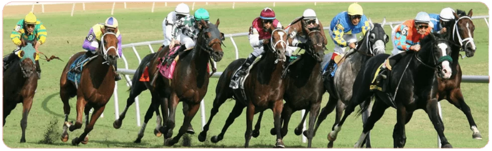 best horse racing betting sites