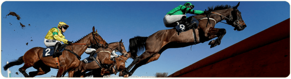 horse race betting on Jump