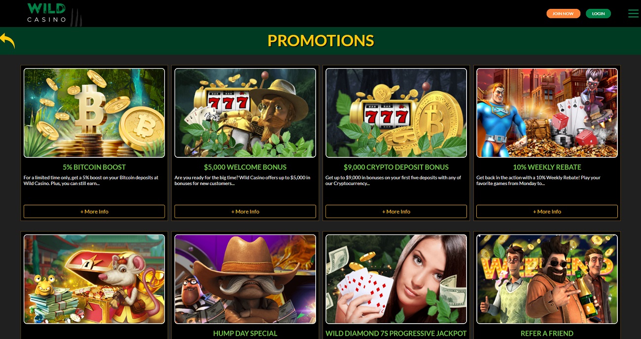 Wild Casino bonuses