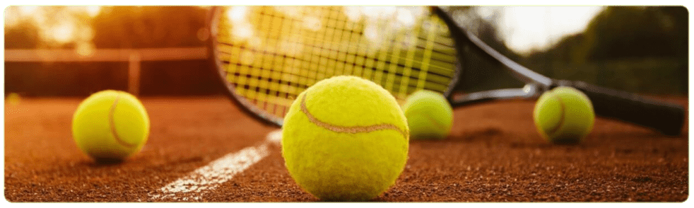 Borle tennis betting. Strategies and Tips