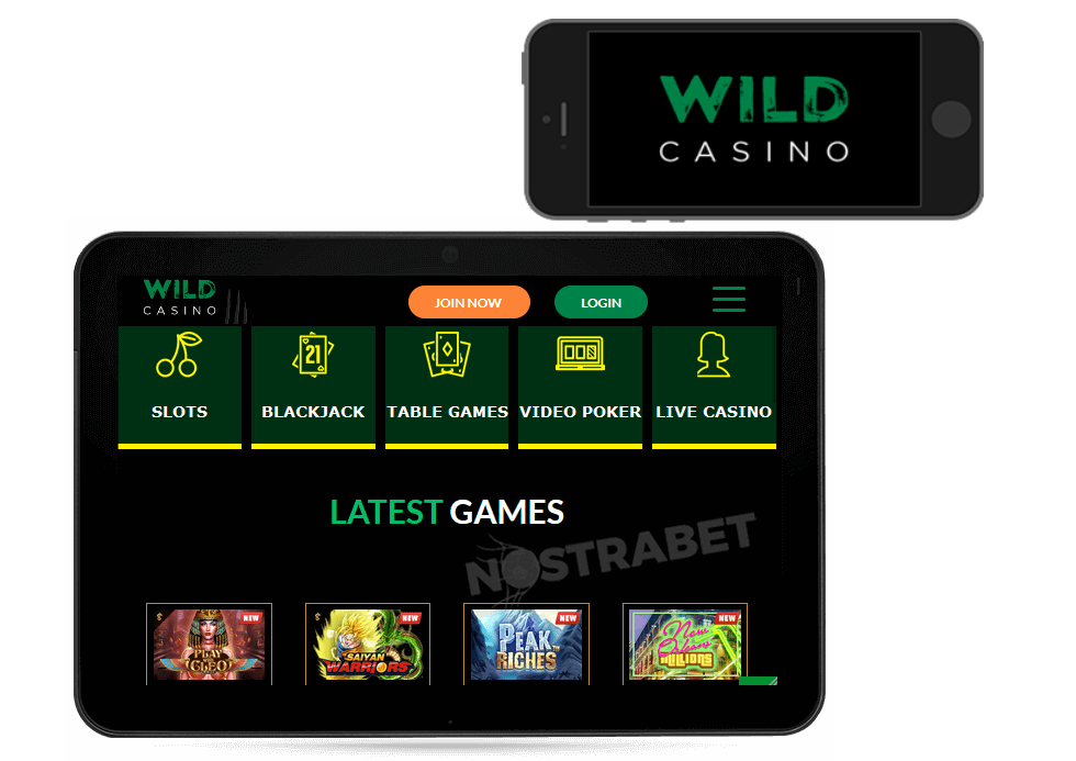 Mobile online casinos