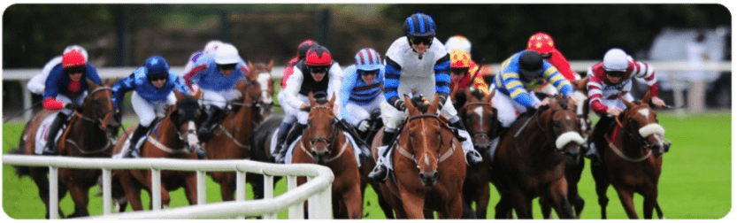 Betting site with bet on horse racing online in France