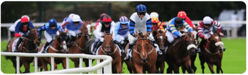 Betting site with bet on horse racing online in France