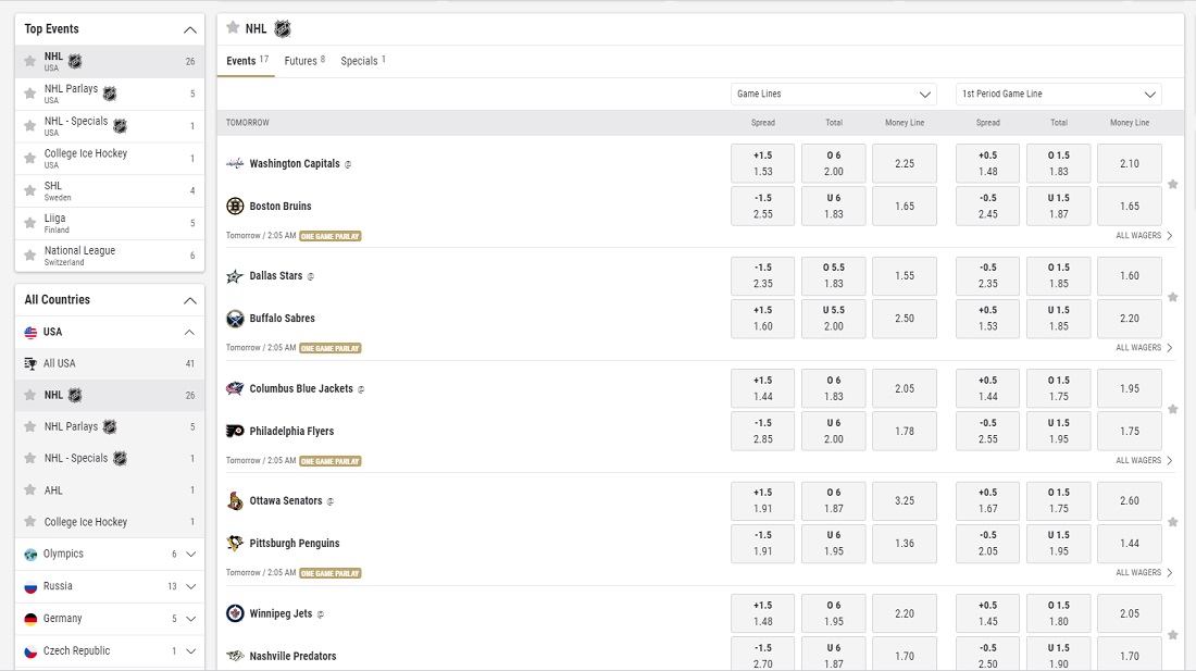 Puck Line in Sports Betting Definition and Examples