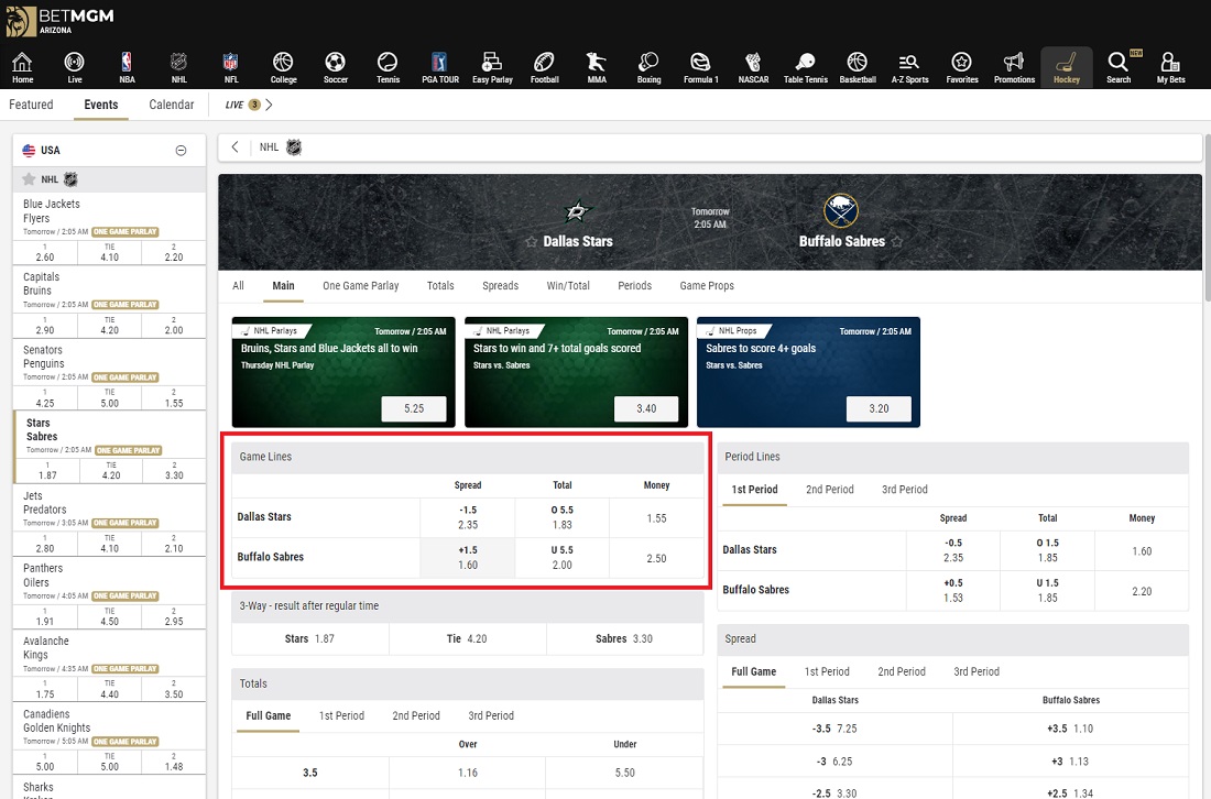 Puck Line in Sports Betting Definition and Examples