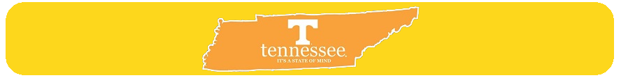 How Tennessee Compares To Other States?