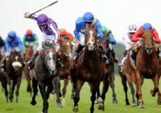 Bookmakers want to make things with the whip disqualification clearer