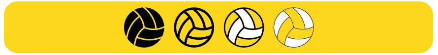 Volleyball Betting