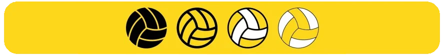 Volleyball Betting