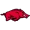 Arkansas Razorbacks