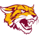 Bethune-Cookman Wildcats