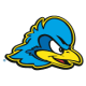 Delaware Fightin Blue Hens