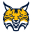 Quinnipiac Bobcats