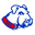 Saint Francis Brooklyn Terriers