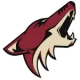 Arizona Coyotes