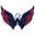 Washington Capitals
